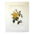 Vintage Pierre-Josephe Redouté Print in 14x18 Mat - Indian Fragrant Rose For Sale
