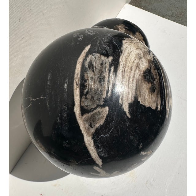 Two Polished Petrified Wood Organic Spheres. For Sale - Image 4 of 10