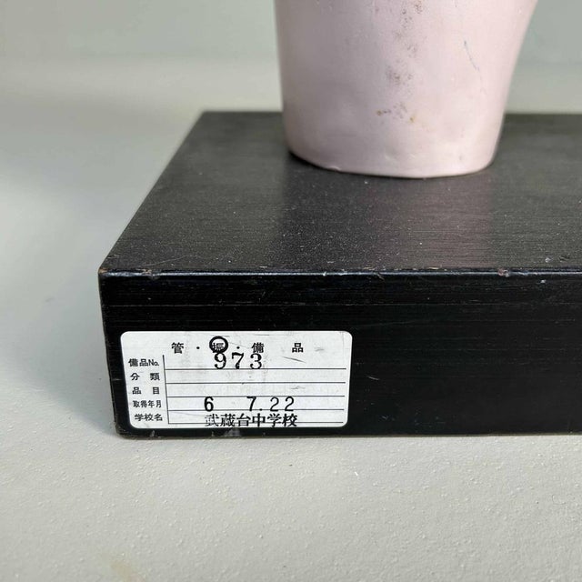 Japanese Anatomical Model Nakamura, 1970s For Sale - Image 15 of 18