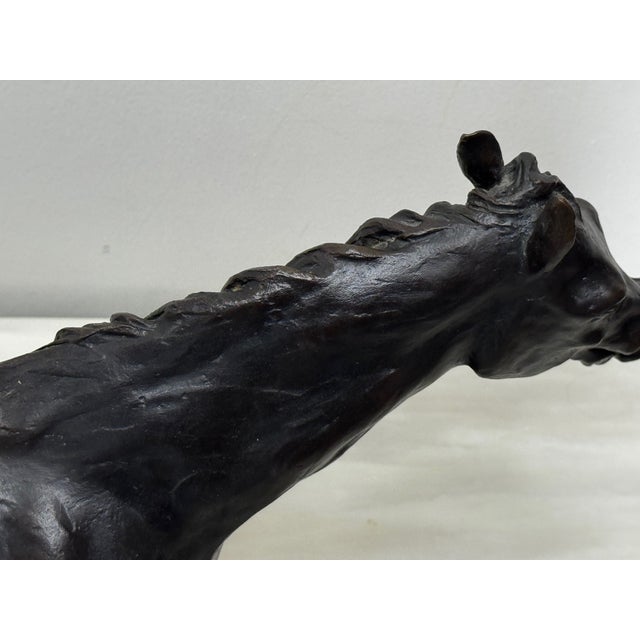 Enzo Plazzotta Galloping Horse Bronze Sculpture – Limited Edition 6/9 – Signed, Museum-Quality For Sale - Image 9 of 18