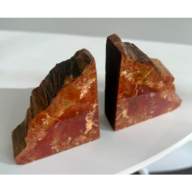 Vintage MCM Pair of Petrified Wood Bookends Arizona Rainbow For Sale - Image 14 of 14
