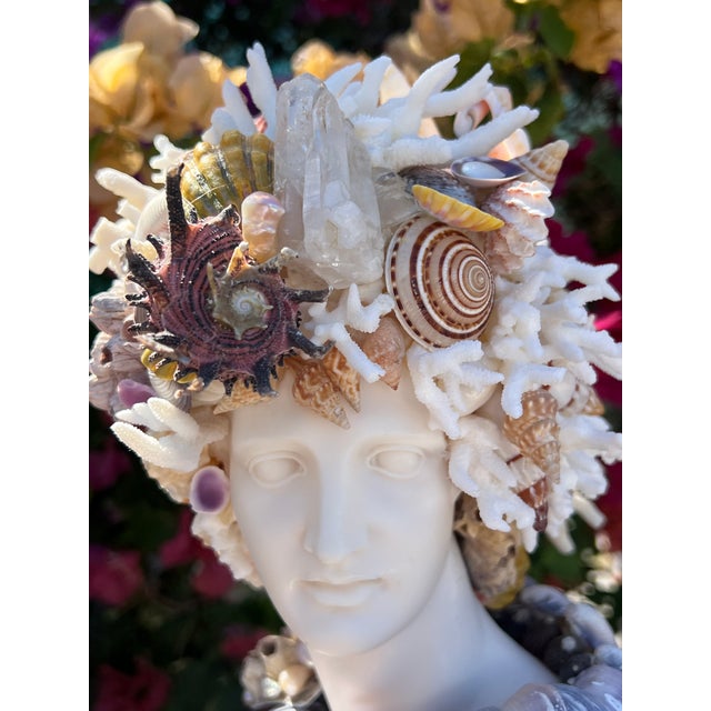 Contemporary CSS 15" Seashell Apollo Bust For Sale - Image 3 of 8