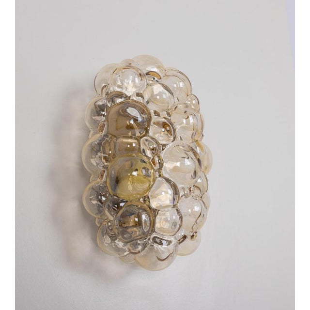Amber Bubble Glass Sconce by Helena Tynell for Limburg, Germany, 1960s For Sale - Image 8 of 16