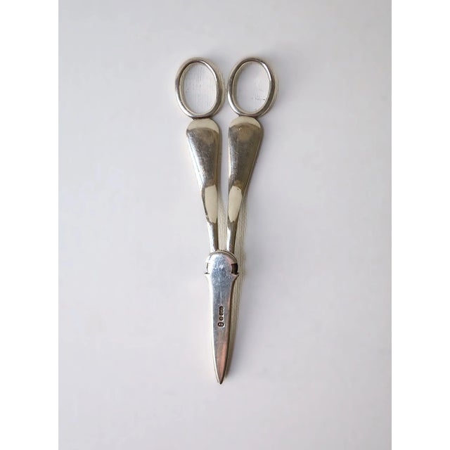 English Scissors Shears For Sale - Image 10 of 11