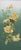 Early 20th Century English Floral Still Life -- Cascading Yellow Tea Roses by L. Griffin For Sale - Image 4 of 6