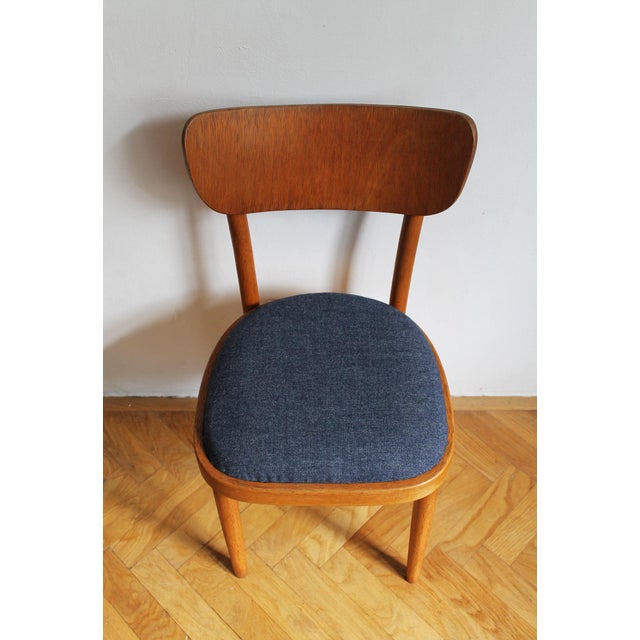 Brown Czech Beech Dining Chair by Up Rousínov from Up Závody, 1960s For Sale - Image 8 of 17