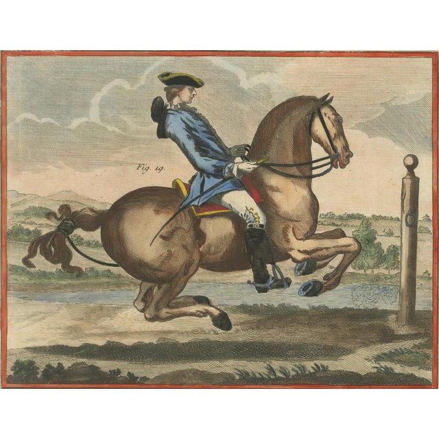French School Artist, Haute École Horsemanship, 1750s, Engravings, Set of 2 For Sale - Image 6 of 10