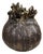 Carbon Sculpted Moon Jar One of a Kind Hand Made For Sale