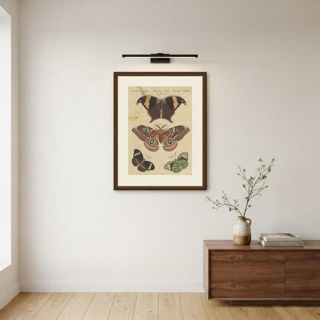 Bertuch, Exotic Butterflies and Saturniid Moth, 1815, Print For Sale - Image 10 of 12