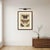 Bertuch, Exotic Butterflies and Saturniid Moth, 1815, Print For Sale - Image 10 of 12