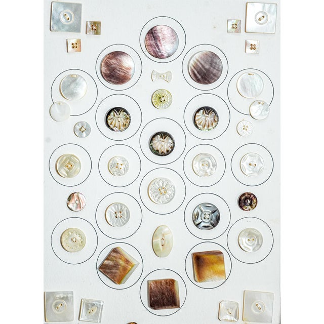 Shabby Chic Fascinating Collection of Framed Mother of Pearl Antique Buttons Clothing Fashion For Sale - Image 3 of 14