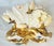 White Late 19th Century Moore Bros Porcelain Cactutus Flower Vases, Set of 4 For Sale - Image 8 of 13