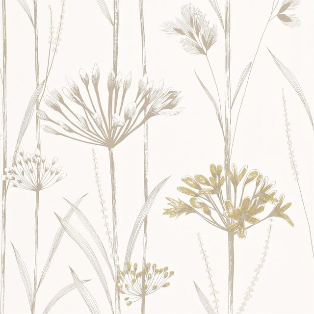 Harlequin Gardinum Wallpaper in Ivory/Gold - a Sample For Sale