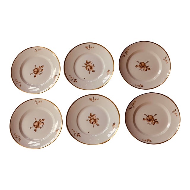 Royal Copenhagen Brown Rose Hand-Painted Porcelain Dinner Plates Set of 6 For Sale