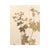 Rustic European Vintage Swedish Herbarium - Geranium, Circa 1958 For Sale - Image 3 of 5