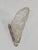Degue French Art Deco Floral Frosted Glass & Nickeled Bronze Slip Shade Wall Sconces 1930s - A Pair For Sale - Image 6 of 9