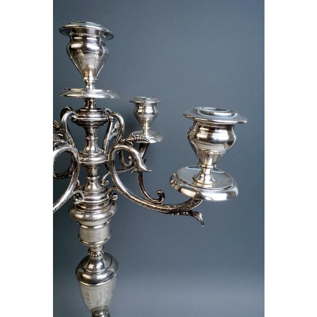 Viennese Art Nouveau Silver 5-Light Candelabra by Josef Kurzweil, 1900s For Sale - Image 5 of 8
