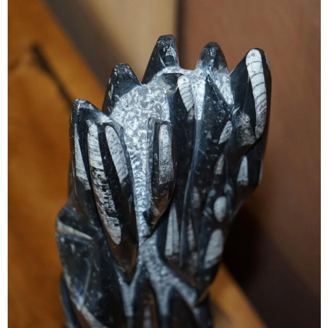 Large Fossilized Orthoceras Marble Finish Statues, Set of 2 For Sale - Image 17 of 18