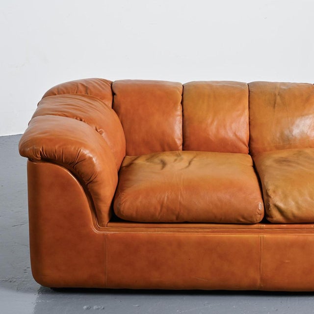 Cocker Leather Sofa by Franco Bresciani for Poltrona Frau, 1970s For Sale - Image 10 of 16