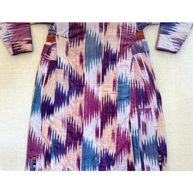 Textile Framed Antique Silk Ikat Chapan Robe Central Asia with Provenance For Sale - Image 7 of 18