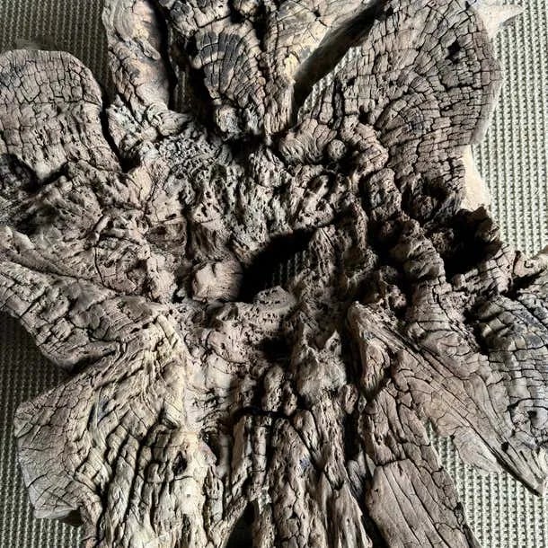 Mid 20th Century Decorative Wood Stump Coffee Table or Side Table For Sale - Image 9 of 11