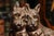 Art Deco Charming Antique Miniature Scottish Terrier Scottie Dog Animal Statue Sculpture Home Decor For Sale - Image 3 of 13