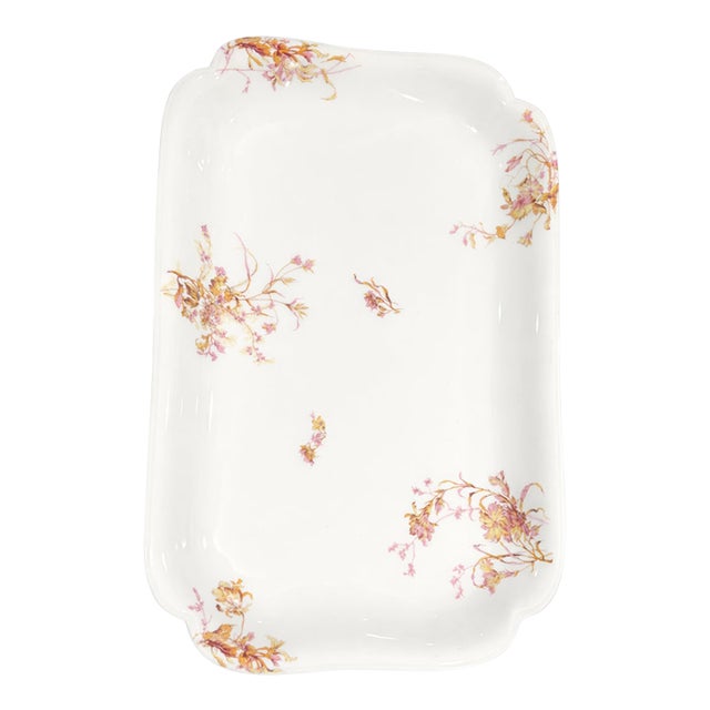 Antique Haviland & Co. Limoges Porcelain Platter, France, Circa 1900 For Sale