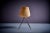 French Fiberglass Chair by Jean-René Picard for S.E.T.A, 1950s For Sale - Image 9 of 13