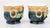 19th Century Petite French Majolica Barbotine Floral Cachepots Jardinieres For Sale - Image 4 of 11