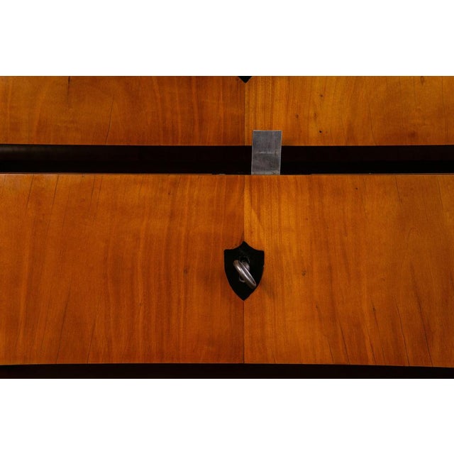 Brown Biedermeier Buffet or Dresser For Sale - Image 8 of 18