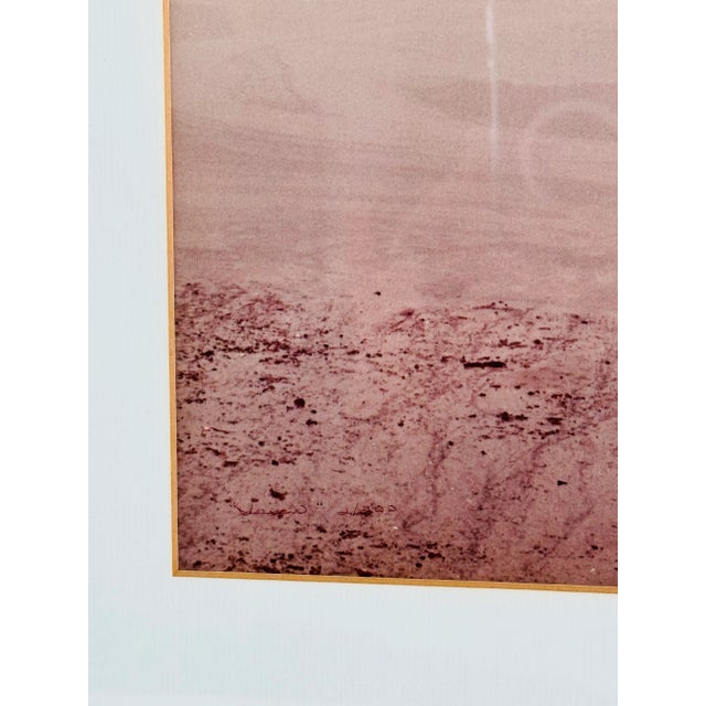 Contemporary Vintage 1970s Cape Cod “Susan” Photo by Julie M. White For Sale - Image 3 of 5