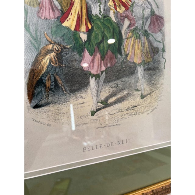 Grandville Belle-De-Nuit Hand-Colored Engraving Les Fleurs Animees For Sale - Image 13 of 15