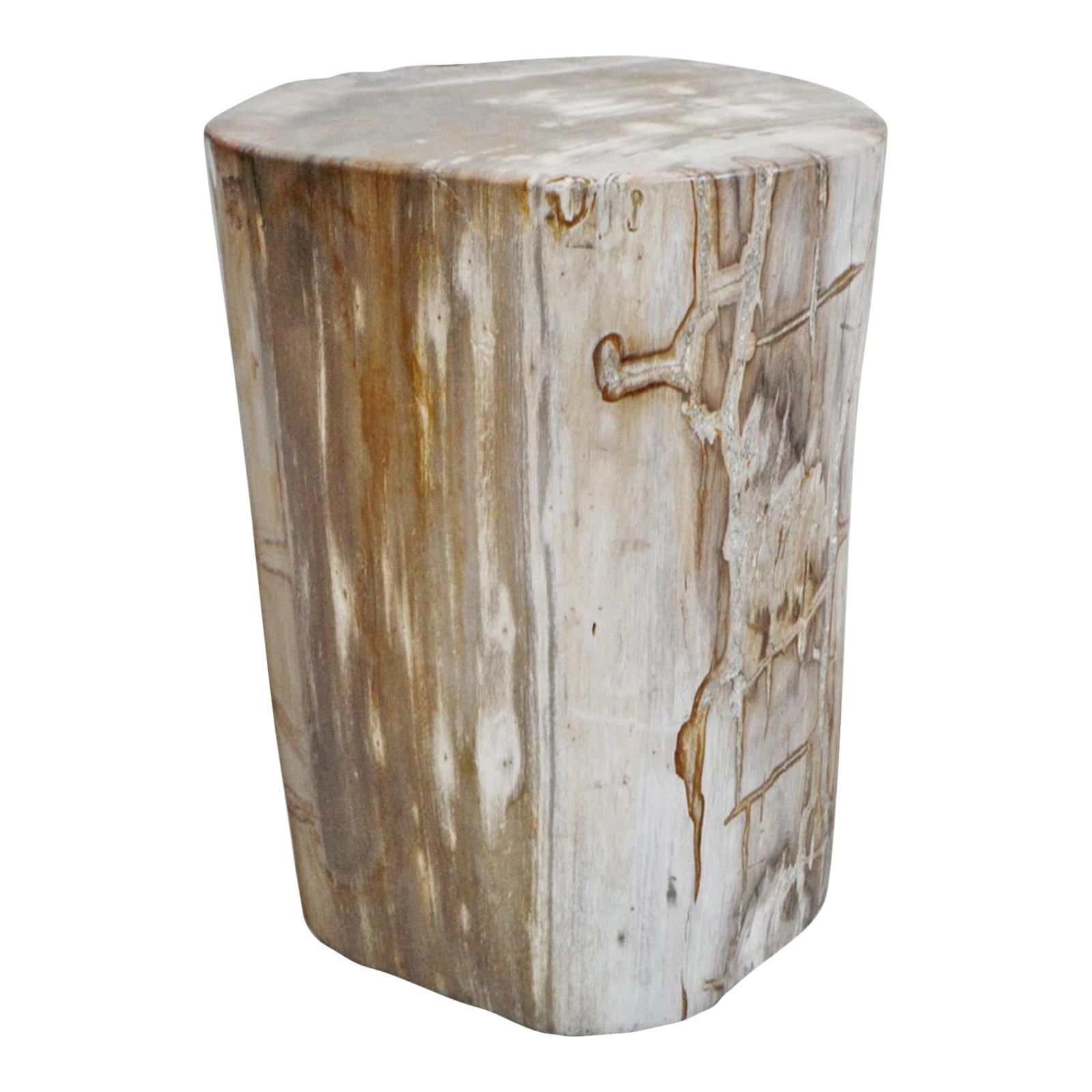 Petrified Wood Stump Side Table Chairish