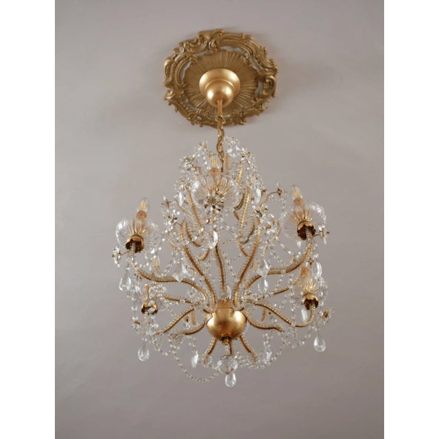 Italian Crystal Chandelier Mechini Firenze For Sale - Image 4 of 16