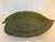 Mid-Century Modern Vintage Ceramic Leaf Shaped Serving Platter For Sale - Image 3 of 3