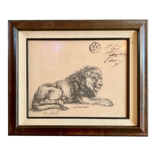 "Lion Normand" Contemporary Lion Portrait Drawing, Framed For Sale