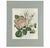 This is an original 1805 hand-colored copper engraving from Friedrich Justin Bertuch’s (1747–1822) Bilderbuch für Kinder....