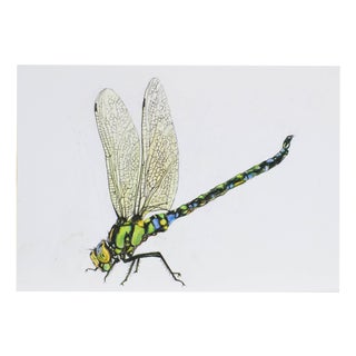 Juris Utans, Bright Dragonfly, 2021, Mixed Media on Paper For Sale
