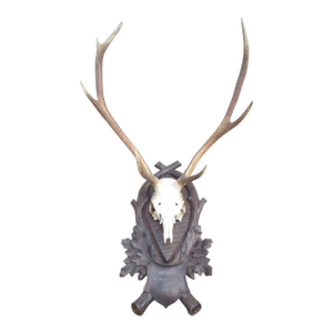 Vintage Black Forest Mounted Deer Antlers