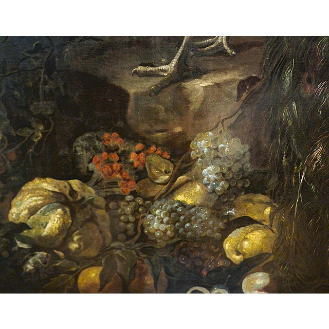 Baldassarre de Caro, Still Life with Peacock, 1700, Oil on Canvas For Sale - Image 7 of 13