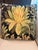 A dramatic pair of custom accent pillows in a richly detailed tropical botanical print featuring oversized protea-style...