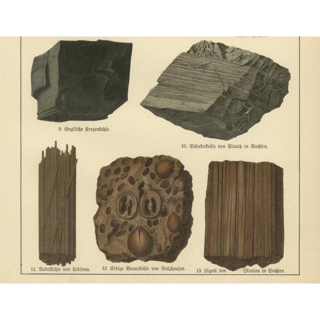 Late 19th Century Kenngott, Set of Two Mineralogy Chromolithographs, Fluorite, Amber & Coal, 1888, Paper For Sale - Image 5 of 10