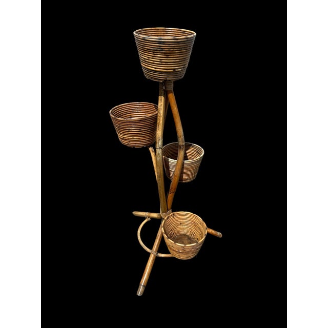 Rattan Plant Stand, 1950s For Sale - Image 4 of 8