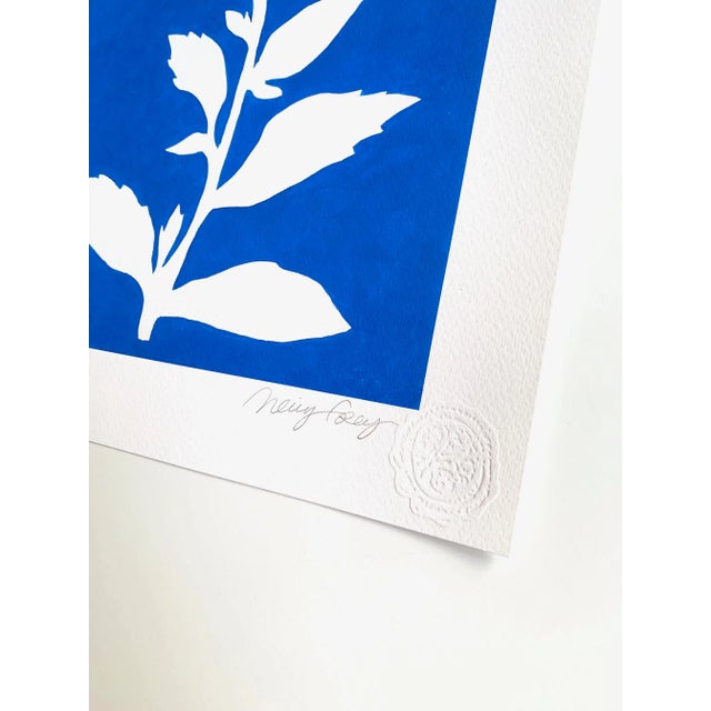 Sunprints Signed and Embossed Giclees by Neicy Frey - Set of 6 For Sale - Image 10 of 11