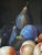 Mid 20th Century Mid 20th Century Neoclassical Style Oil on Canvas Still Life For Sale - Image 5 of 11