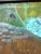 “Dead Skunk” Turkey Vulture Painting by LWren Walraven For Sale - Image 13 of 15