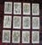 Antique 19th Century Botanical Lithographs - Set of 12 For Sale - Image 9 of 9