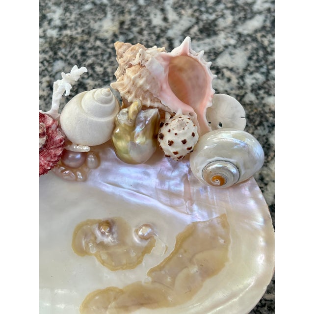 2020s CSS Small Seashell Catchall Dish For Sale - Image 5 of 6