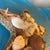 Starfish Woven Basket Filled With Seashells For Sale In Minneapolis - Image 6 of 12