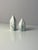 Rosenthal Polygon Dragonfly Salt and Pepper Shakers by Tapio Wirkkala for Rosenthal Studio Line, Set of 2 For Sale - Image 4 of 11